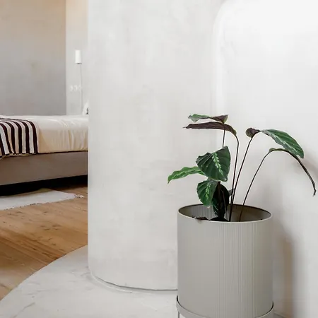 Apartment O Poleiro - Modern Living